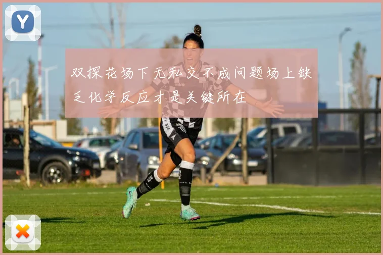 双探花场下无私交不成问题场上缺乏化学反应才是关键所在